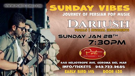 “Dariush’s Acoustic Journey: A Night of Persian Melodies and Unexpected Fireworks!”