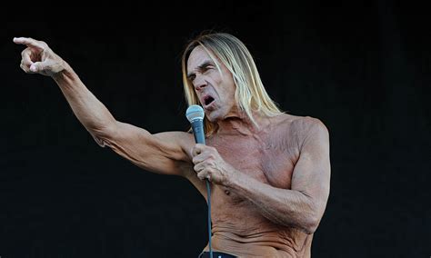 Iggy Pop's 'Post-Punk Prodigy' Concert: A Triumphant Return To Hanoi After Four Decades?